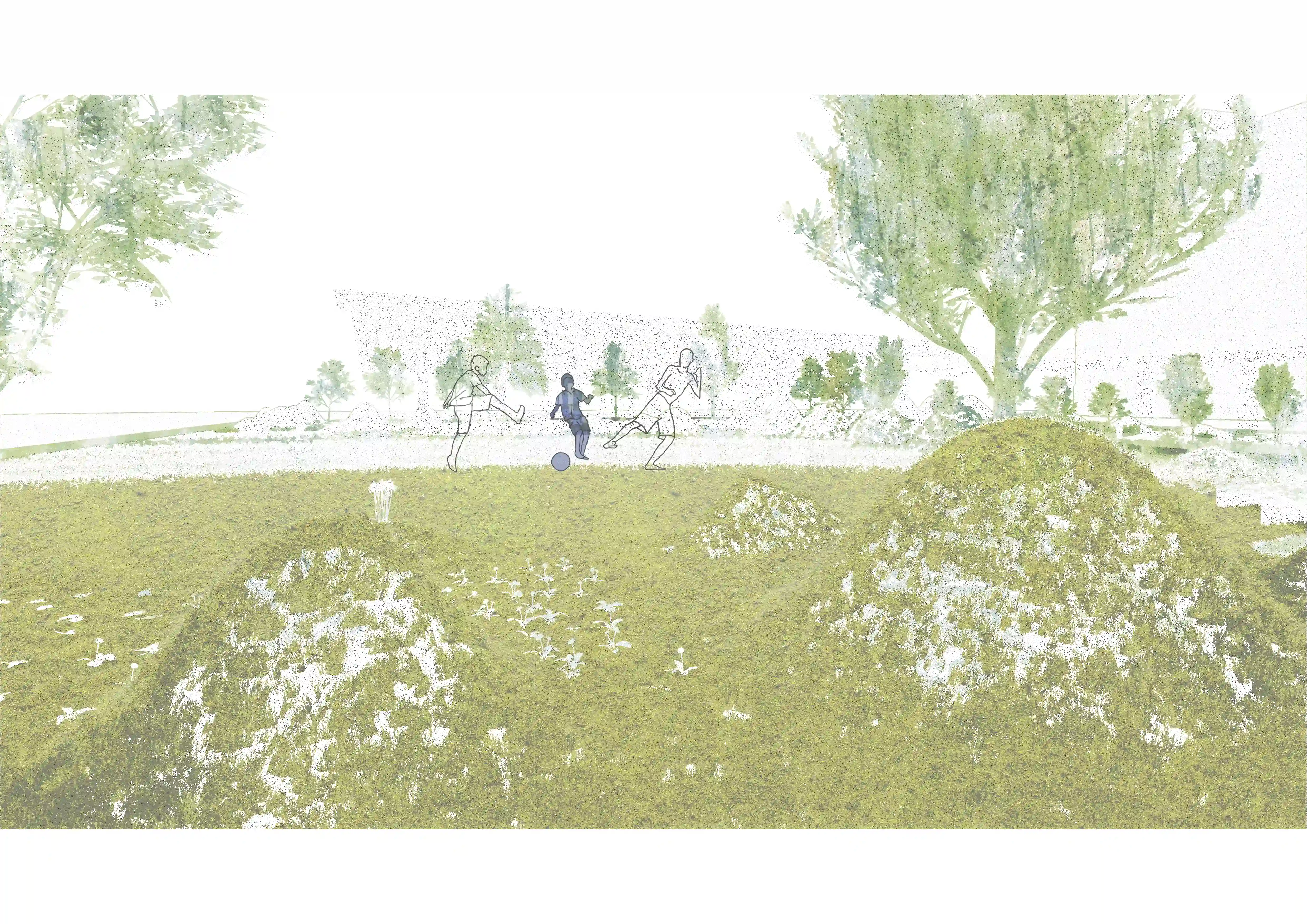 Site Perspective