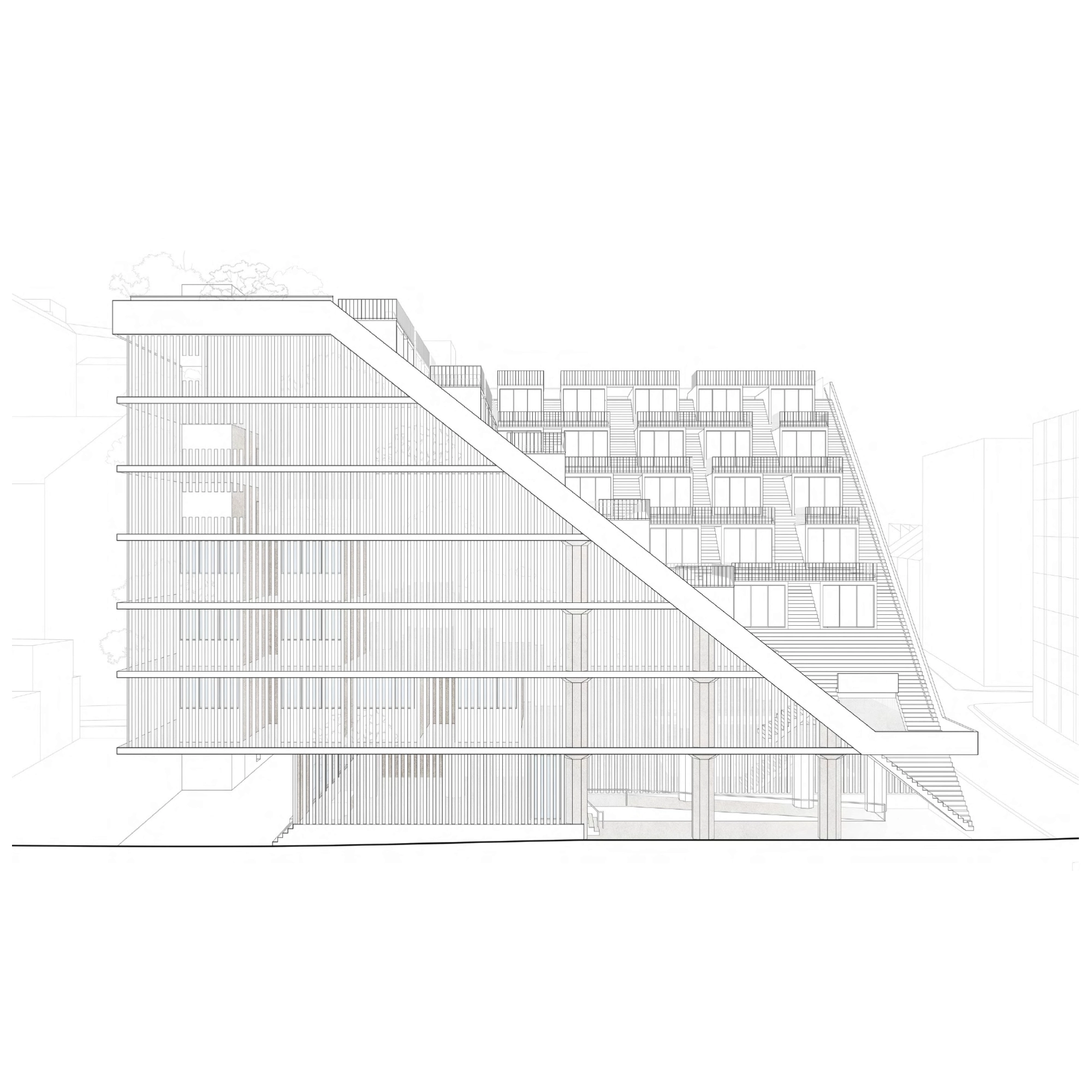 Elevation